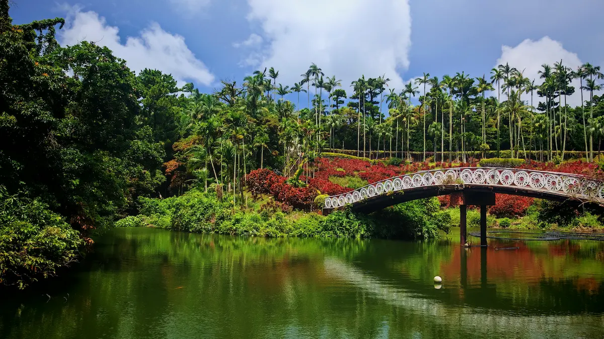 Bridge over the pond