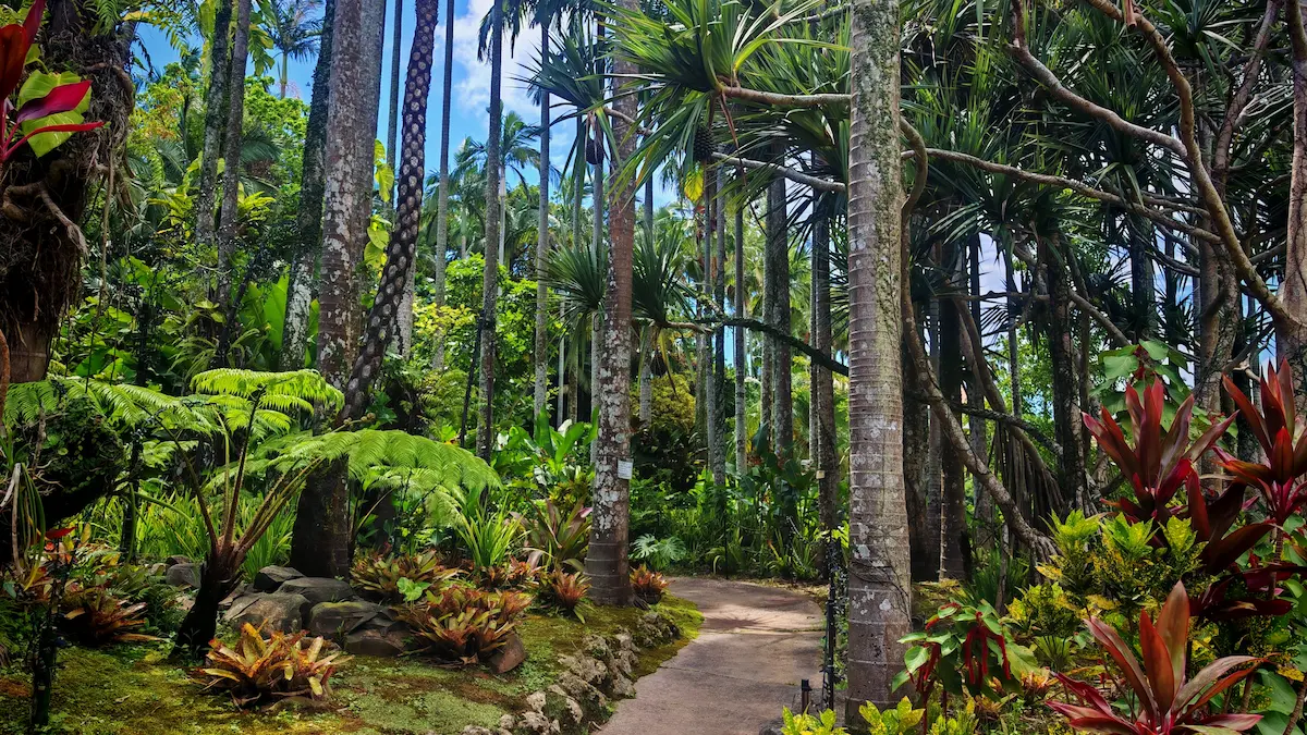 Botanical Garden